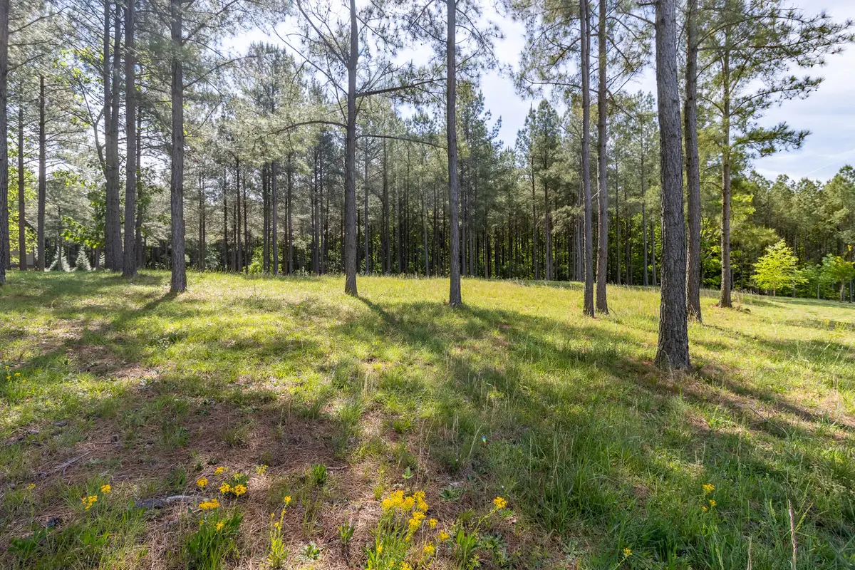 1600 Raulston Falls Road #Lot Sv320, Jasper, TN 37347 - #1
