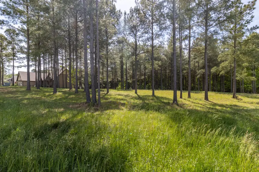 1600 Raulston Falls Road #Lot Sv320, Jasper, TN 37347 - #2