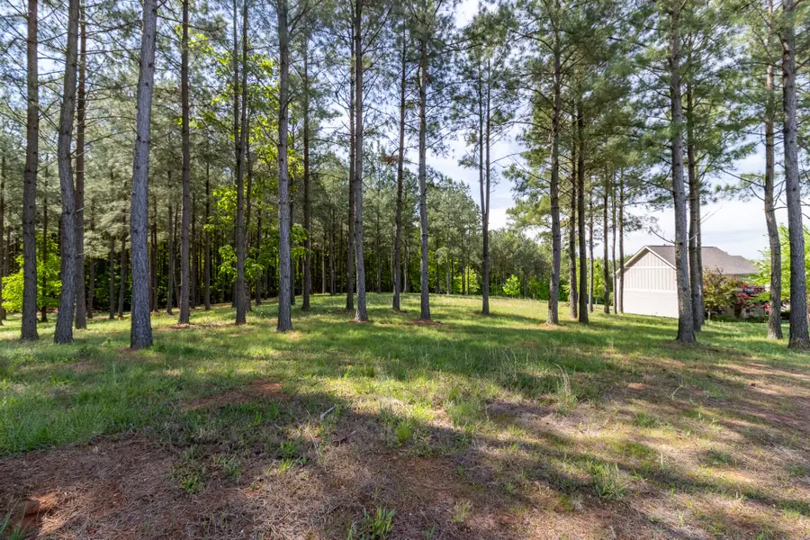 1600 Raulston Falls Road #Lot Sv320, Jasper, TN 37347 - #3
