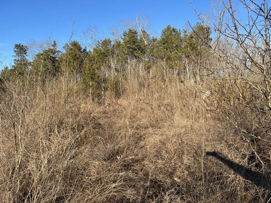 0 Cedar Breeze #1, Trenton, GA 30752 - #2