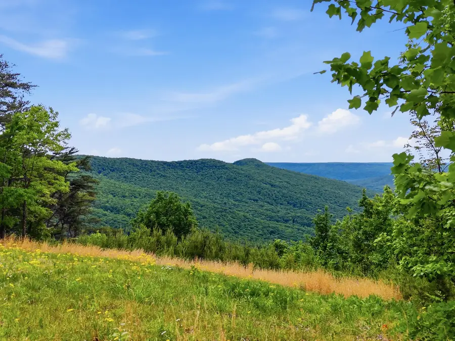 2750 B Browns Trace Road, South Pittsburg, TN 37380 - #2