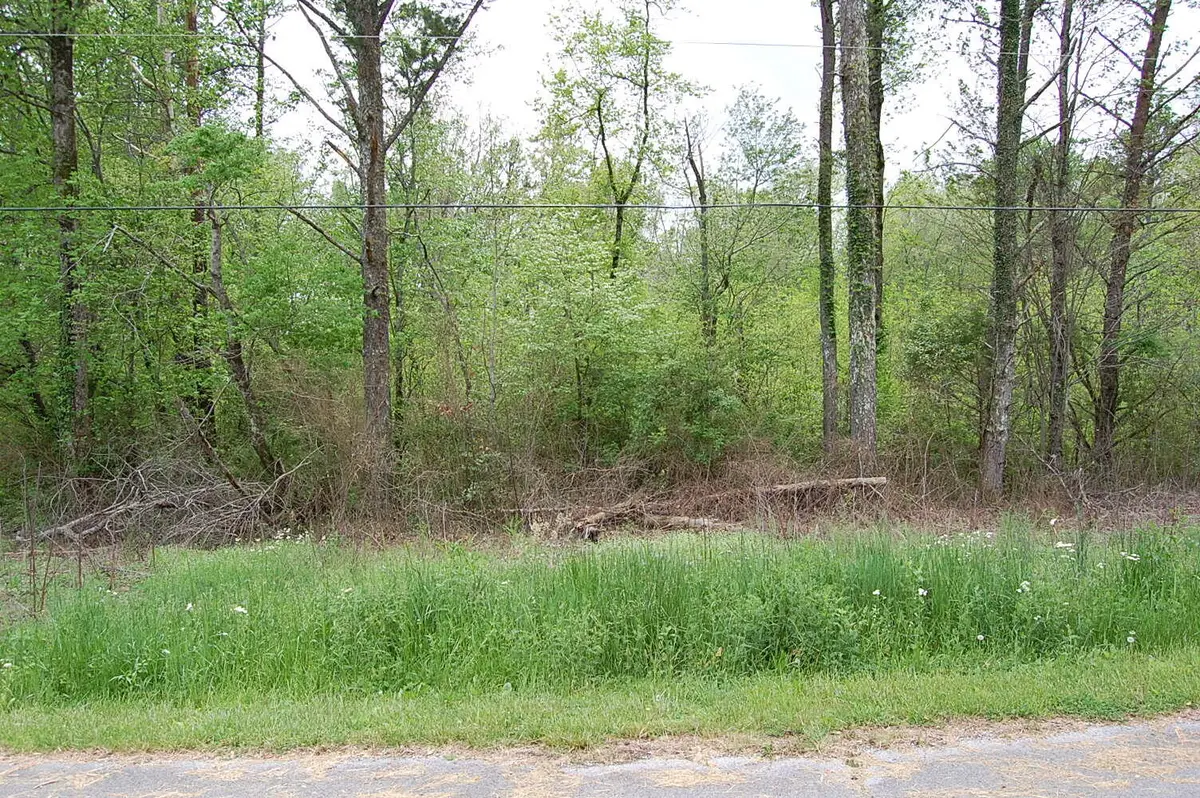 66 51st Avenue, Gruetli Laager, TN 37339 - #1