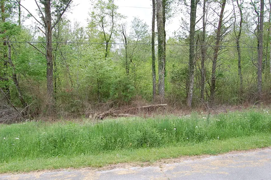 66 51st Avenue, Gruetli Laager, TN 37339 - #3