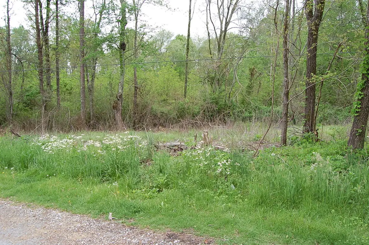 67 51st Avenue, Gruetli Laager, TN 37339 - #1