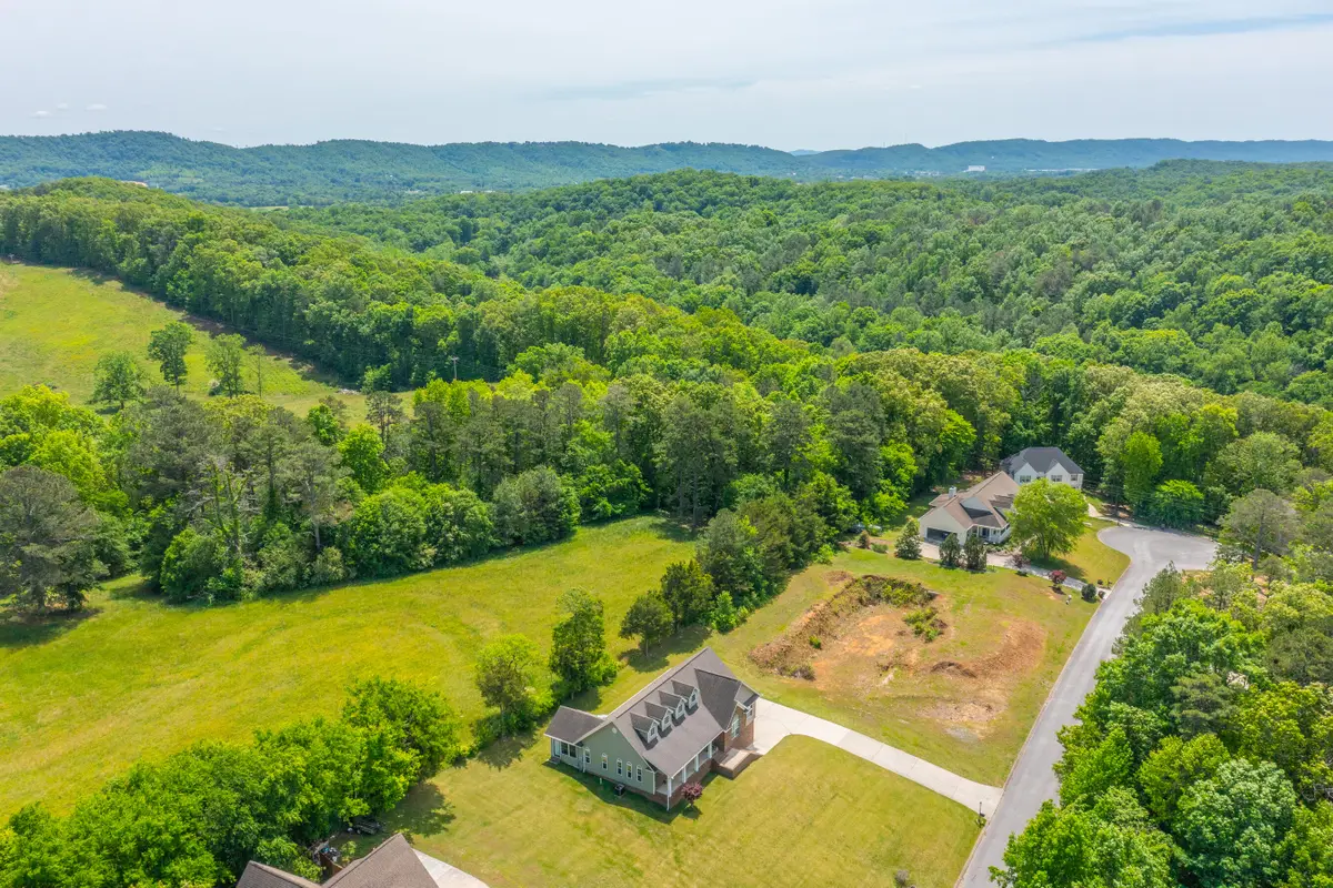 263 Falcons View Drive, Ringgold, GA 30736 - #1