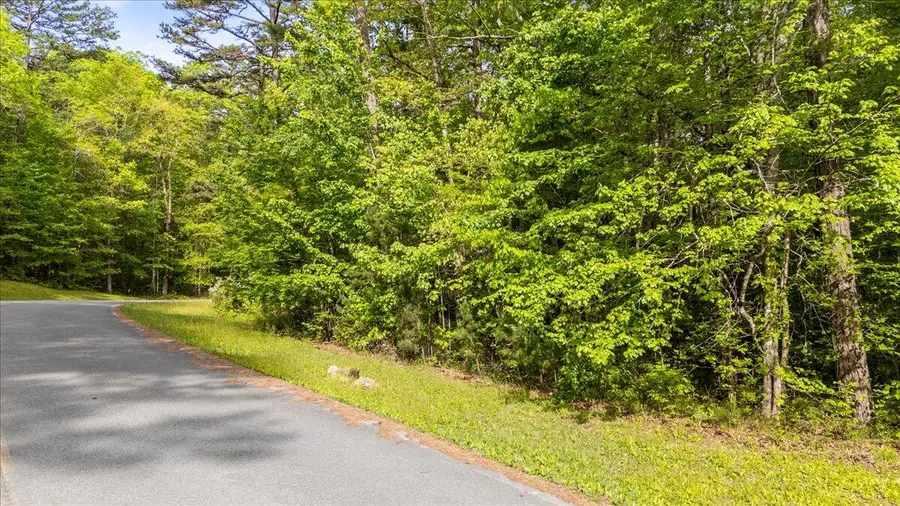 0 Clear Brooks Drive #Lot 74, Signal Mountain, TN 37377 - #3