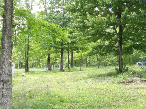 00 Kerley Road, Spring City, TN 37381