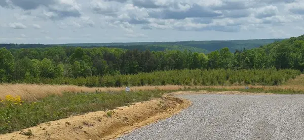 47 Pineview Road #47, Dunlap, TN 37327