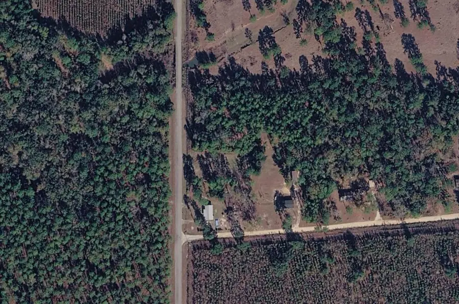 0 E New Home Church Road, Climax, GA 39834 - #3