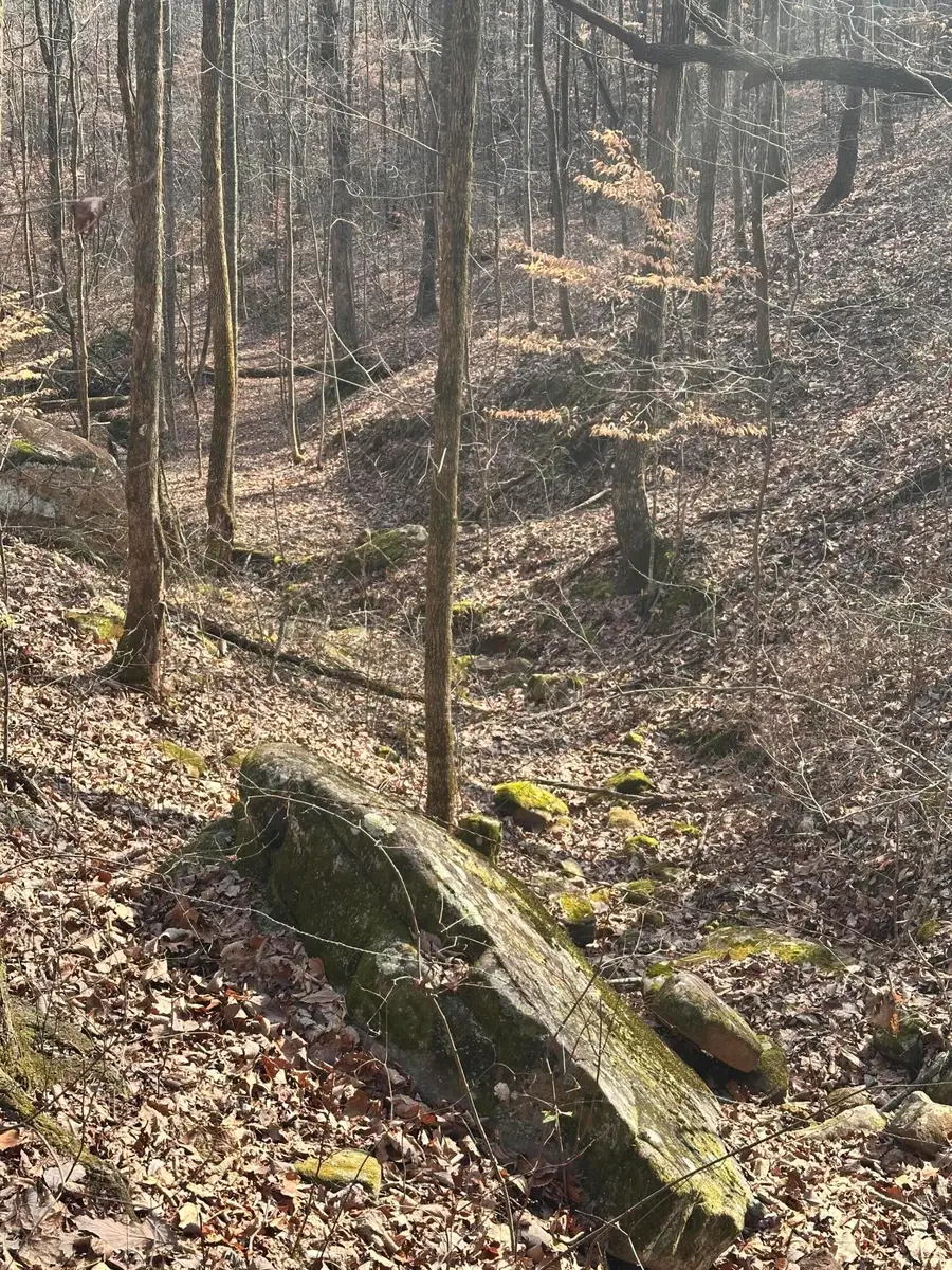 758 Montgomery Road, Dayton, TN 37321 - #3