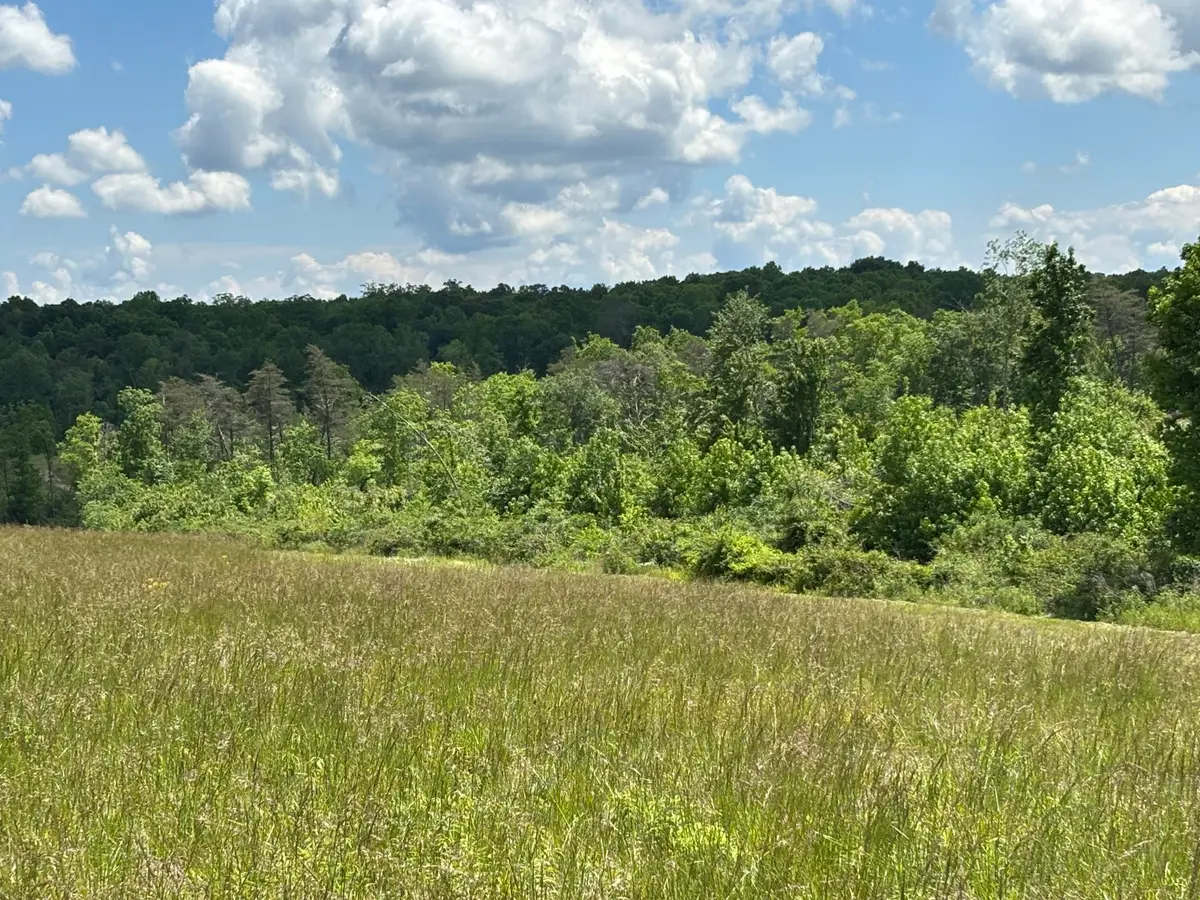 11 Hidden Hills Drive #11, Graysville, TN 37338 - #1