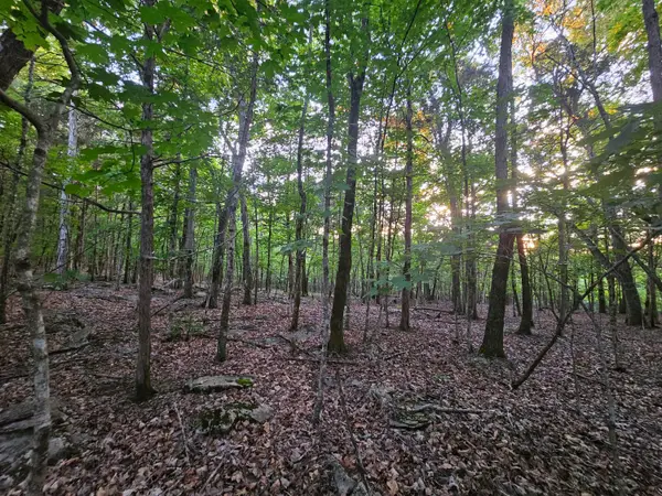 3 Sewanee Summit Road #2 And 3, Decherd, TN 37324