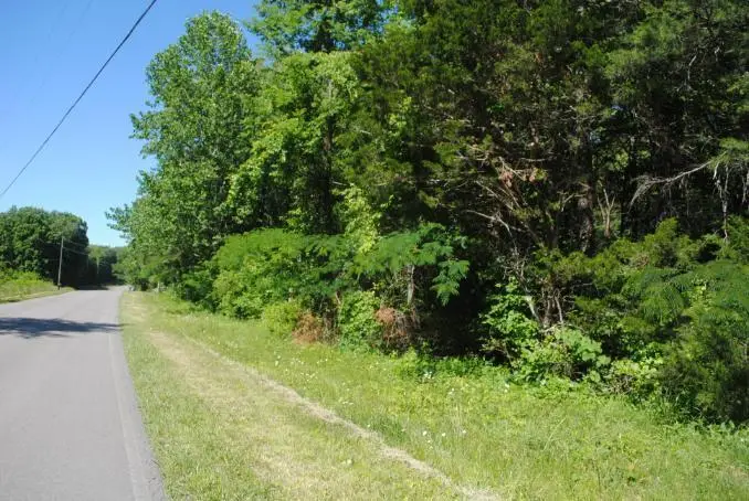 0 S Marble Top Road, Chickamauga, GA 30707 - #2