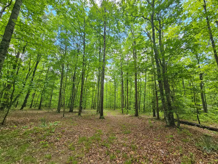 6 Beechwood Trail #Nw4b, Gruetli Laager, TN 37339 - #2