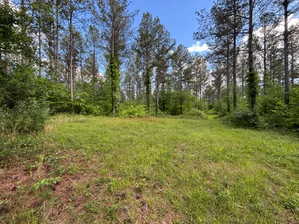82 Bennie Camp Road, Dunlap, TN 37327