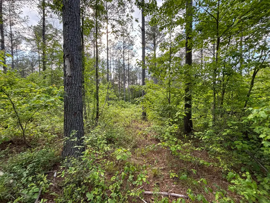 82 Bennie Camp Road, Dunlap, TN 37327 - #2