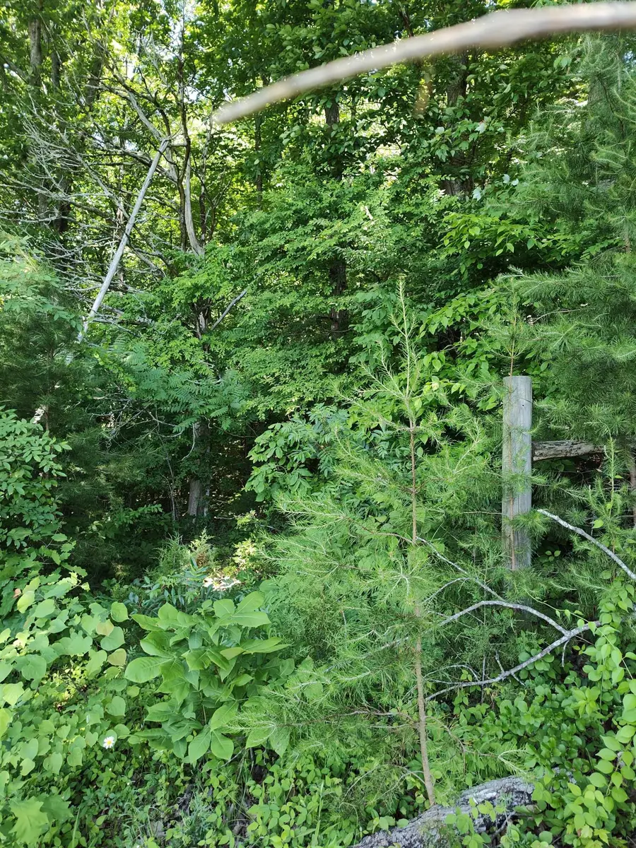 00 Hixson Road, Dunlap, TN 37327 - #2