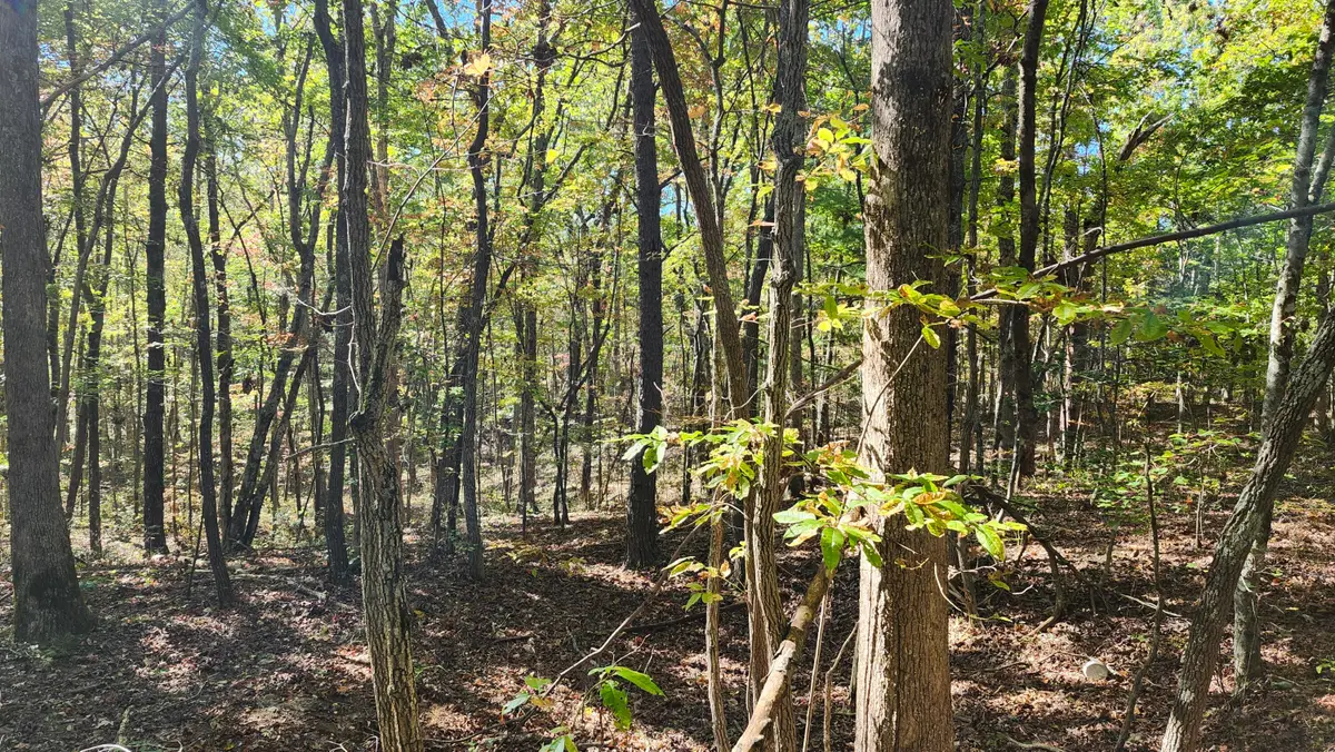 0 Tipple Road #Tract 4 & 5, Tracy City, TN 37387 - #1