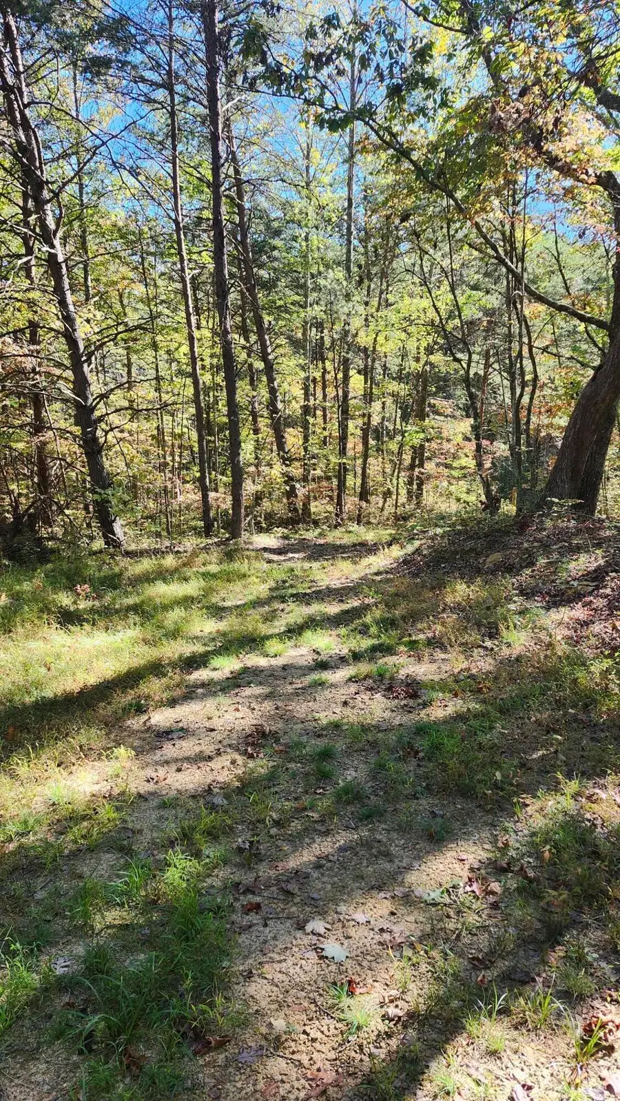 0 Tipple Road #Tract 4 & 5, Tracy City, TN 37387 - #3
