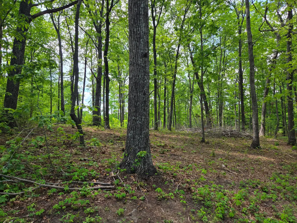 000 Ski View Drive, Dunlap, TN 37327 - #1