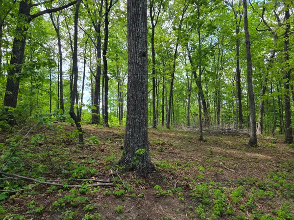000 Ski View Drive, Dunlap, TN 37327