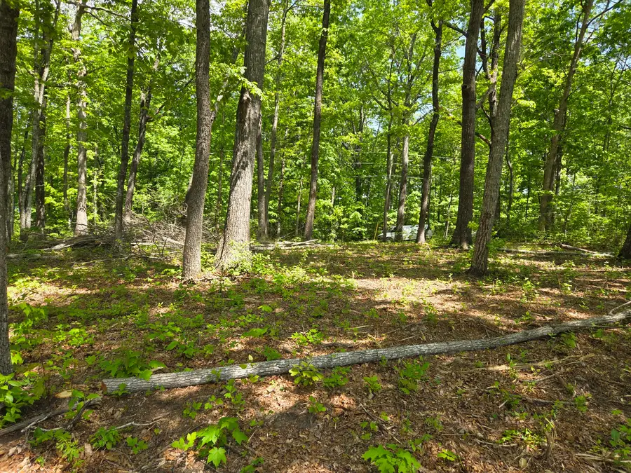 000 Ski View Drive, Dunlap, TN 37327 - #3