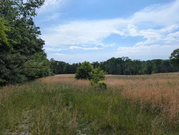1615 Burdette Road, Grandview, TN 37337