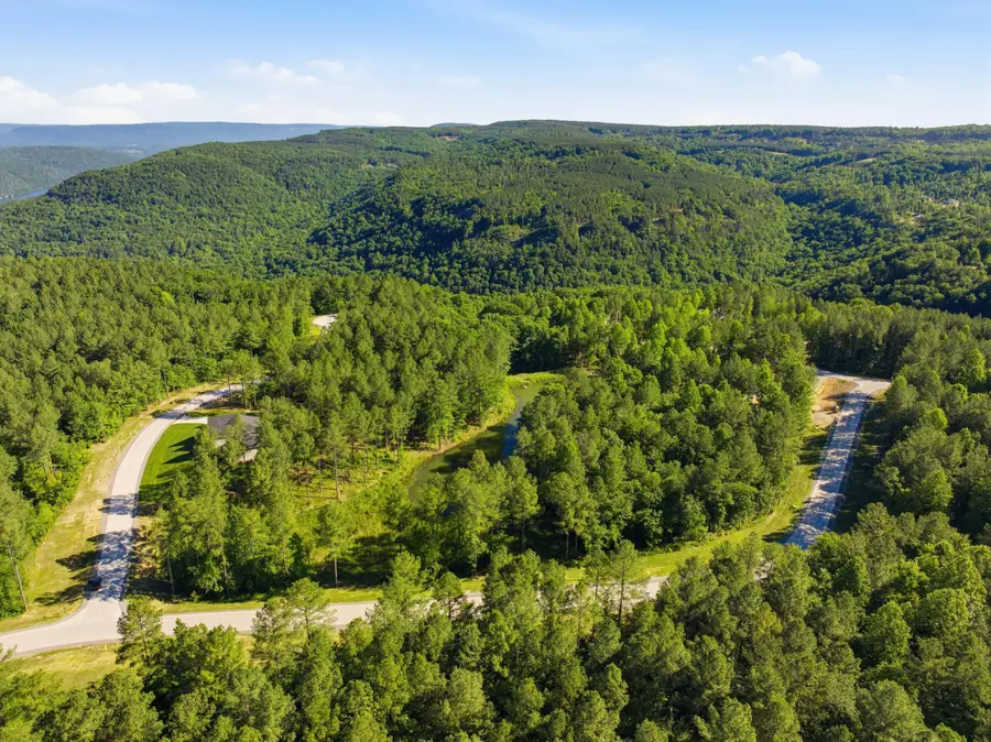 0 Birds Eye Way #1053, Guild, TN 37340 - #2