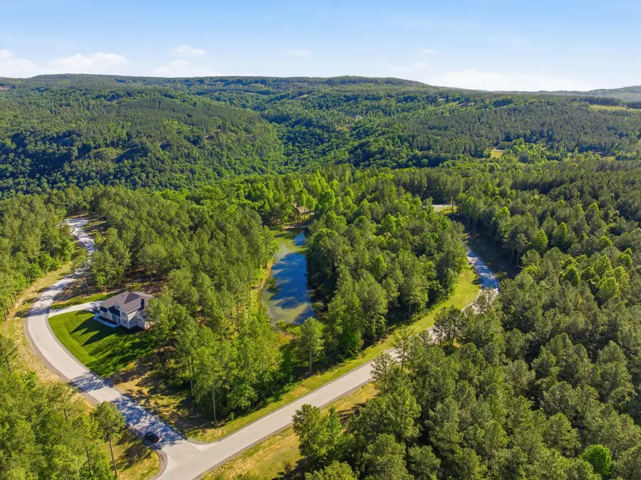0 Birds Eye Way #1053, Guild, TN 37340 - #3