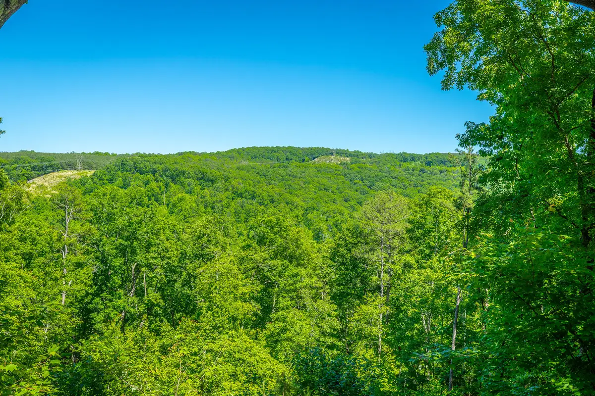 0 Split Rail Way #1349, Guild, TN 37340 - #1