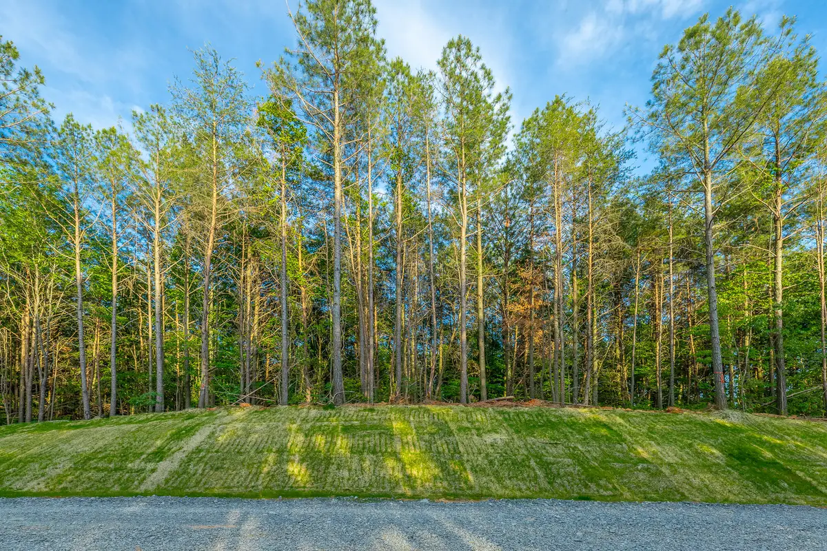 0 Cannon Way #Lot 1317, Guild, TN 37340 - #1