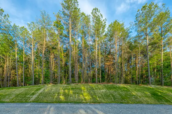 0 Cannon Way #Lot 1317, Guild, TN 37340