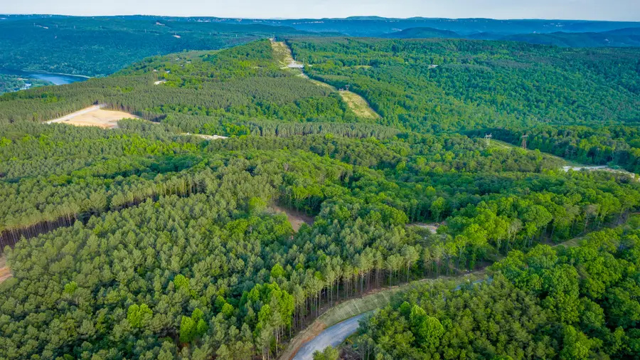 0 Cannon Way #Lot 1317, Guild, TN 37340 - #3