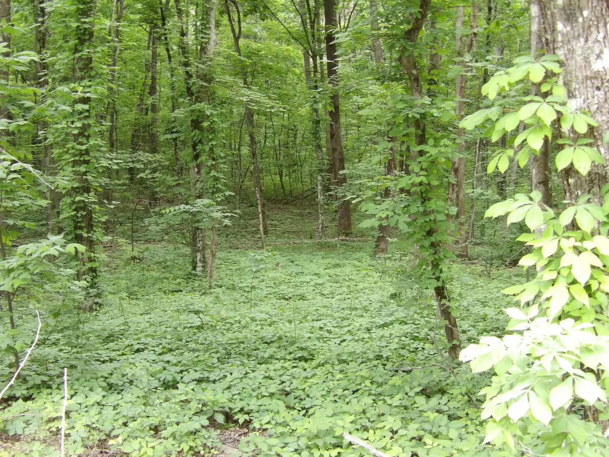 0 Ridge Road W, Pikeville, TN 37367 - #1
