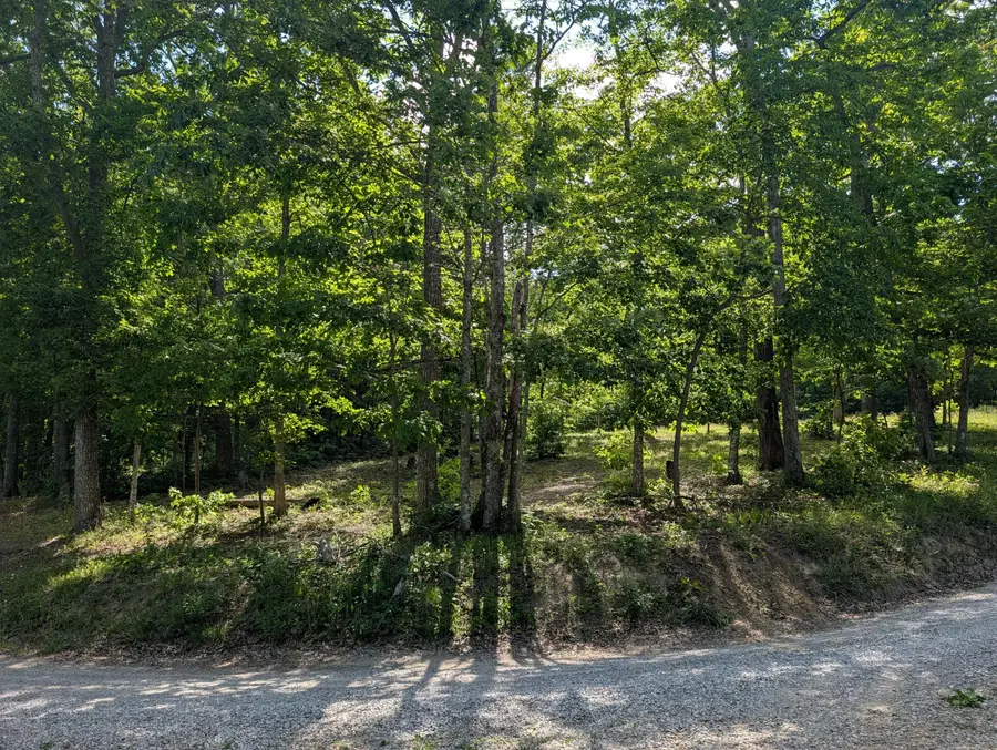 Lot 94/95 Red Oak Lane, Spring City, TN 37381 - #2