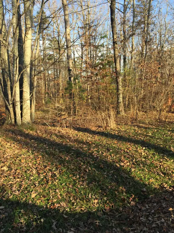 0 Clear Brooks Drive #38, Signal Mountain, TN 37377