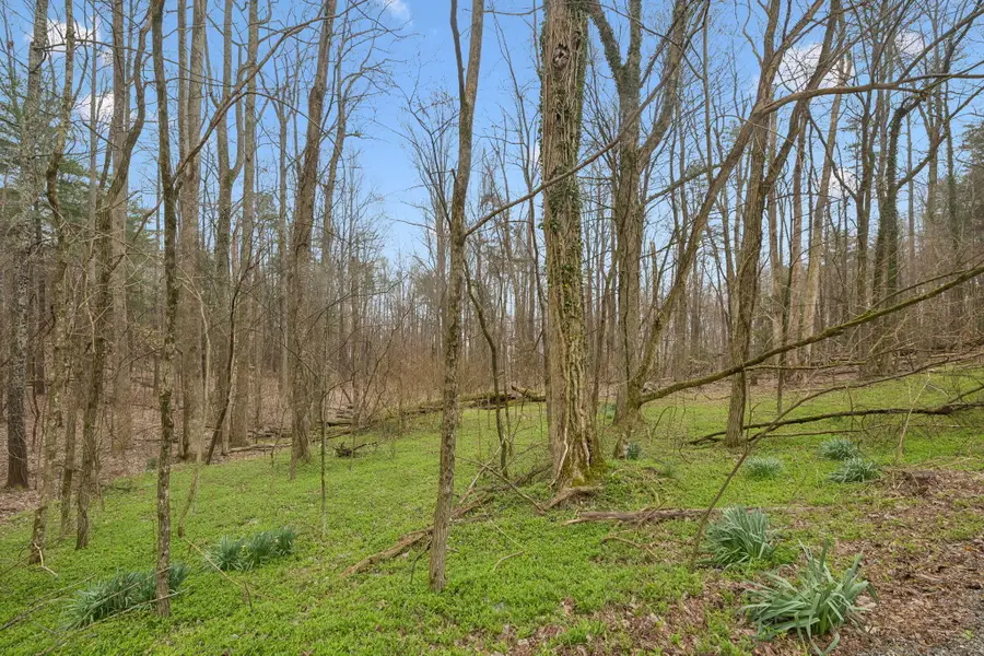 033 Mcgregor Road #33, McMinnville, TN 37110 - #3
