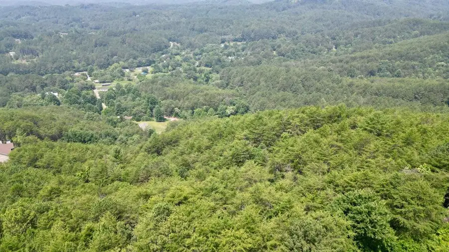 0 Little Mtn Road, Copperhill, TN 37317 - #3