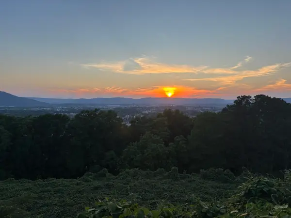 31 N Crest Road, Chattanooga, TN 37404