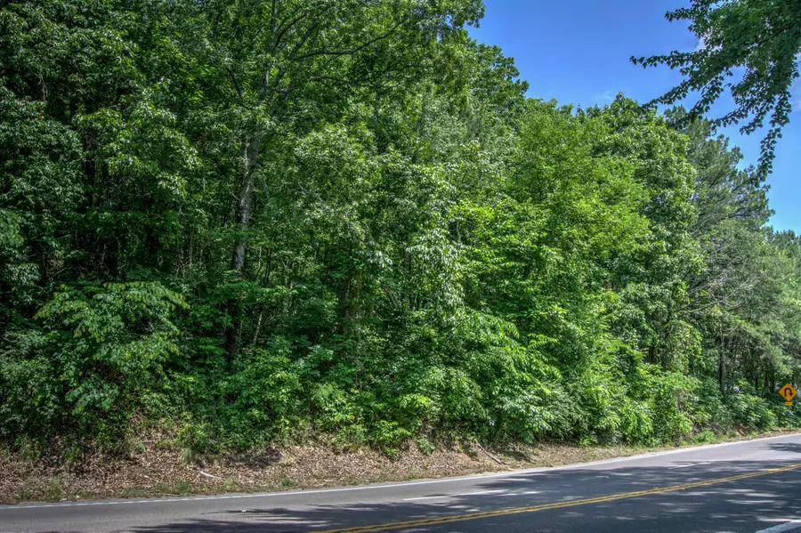 136 Ga 136, Trenton, GA 30752 - #2