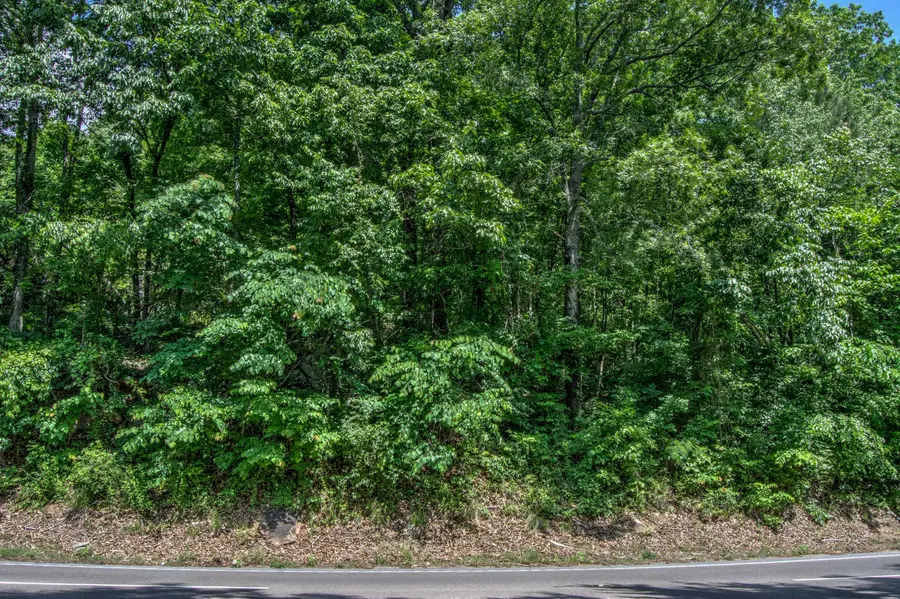 136 Ga 136, Trenton, GA 30752 - #3