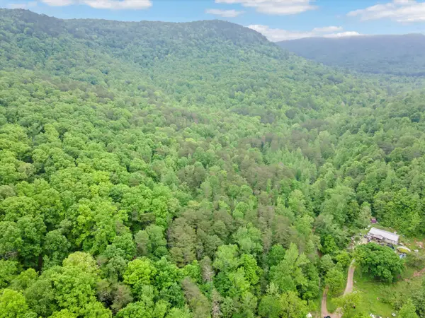 0 Egypt Hollow Road, Trenton, GA 30752