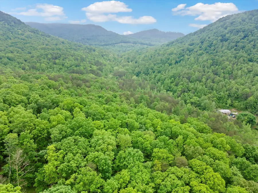 0 Egypt Hollow Road, Trenton, GA 30752 - #2