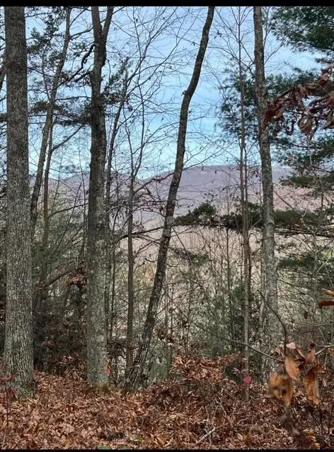 288 Frost Bottom Road, Oliver Springs, TN 37840