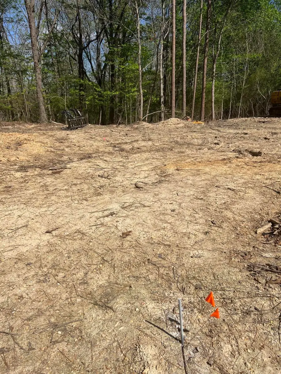 1645 Billingsley Road, Soddy Daisy, TN 37379 - #2