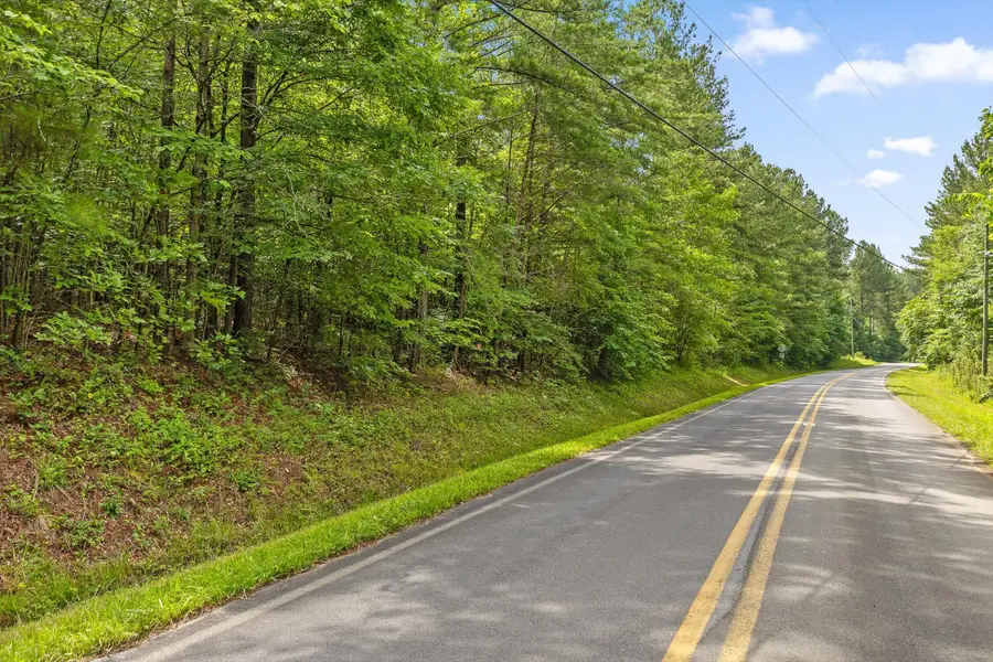 Tr 4 B-2 Conniston Road, Chatsworth, GA 30705 - #2