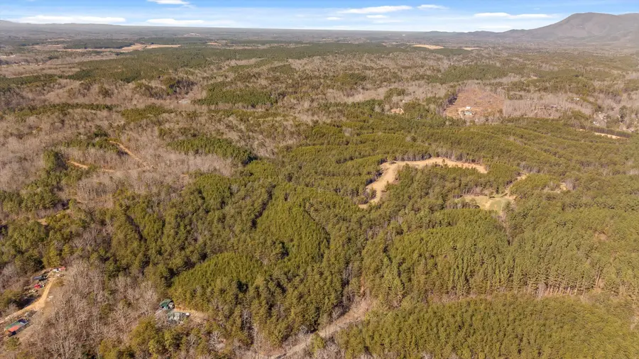 Tr 92-4 Old Sawmill Road, Chatsworth, GA 30705 - #3