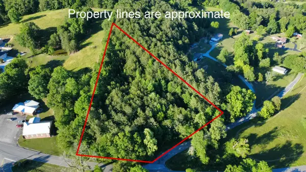 0 Cunningham Rd, Spring City, TN 37381