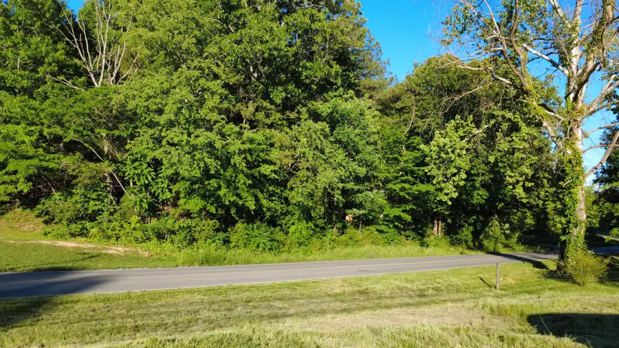 0 Cunningham Rd, Spring City, TN 37381 - #3