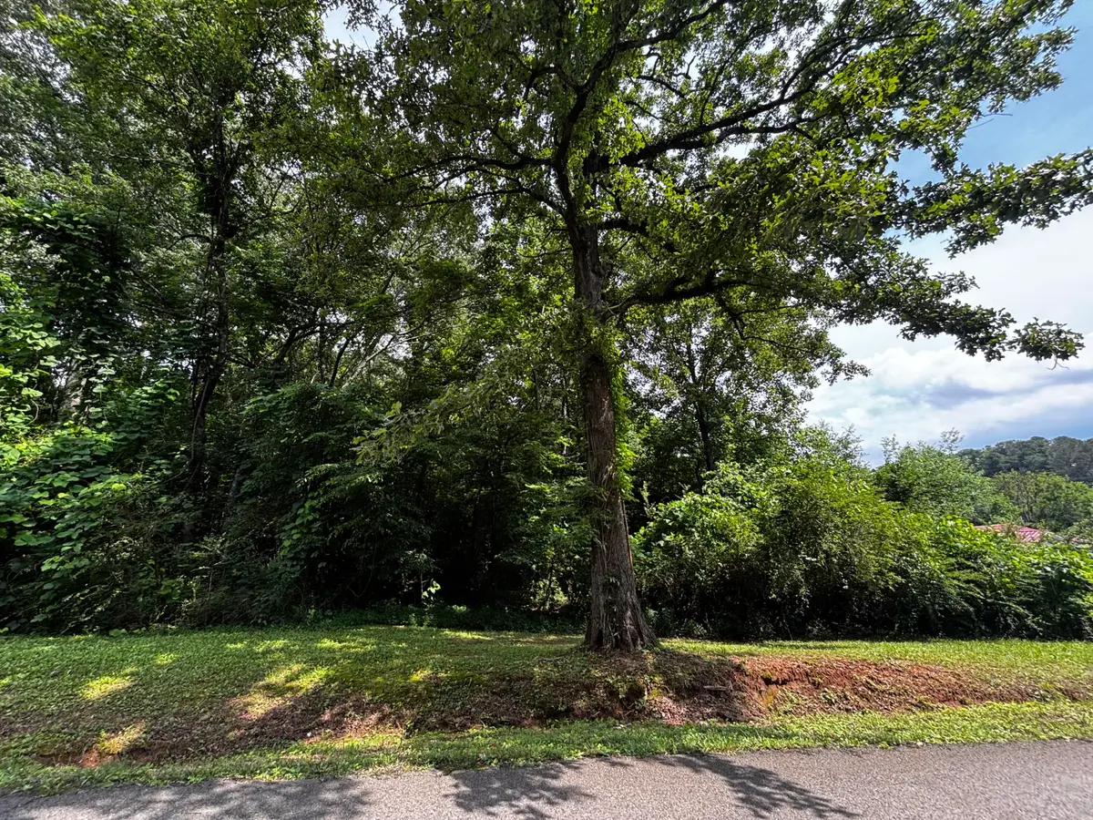 0 Kendall Avenue, Bridgeport, AL 35740 - #1